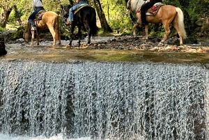 Cabalga con charros mexicanos: una aventura vaquera en la Ciudad de México