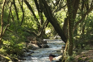 Cabalga con charros mexicanos: una aventura vaquera en la Ciudad de México