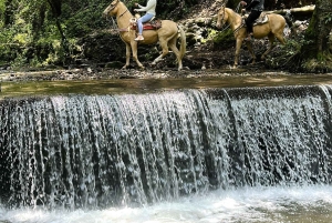Cabalga con charros mexicanos: una aventura vaquera en la Ciudad de México