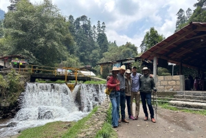 Cabalga con charros mexicanos: una aventura vaquera en la Ciudad de México