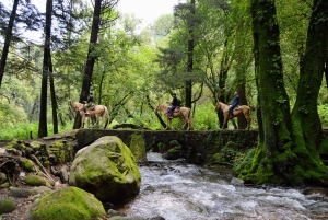 Cabalga con charros mexicanos: una aventura vaquera en la Ciudad de México