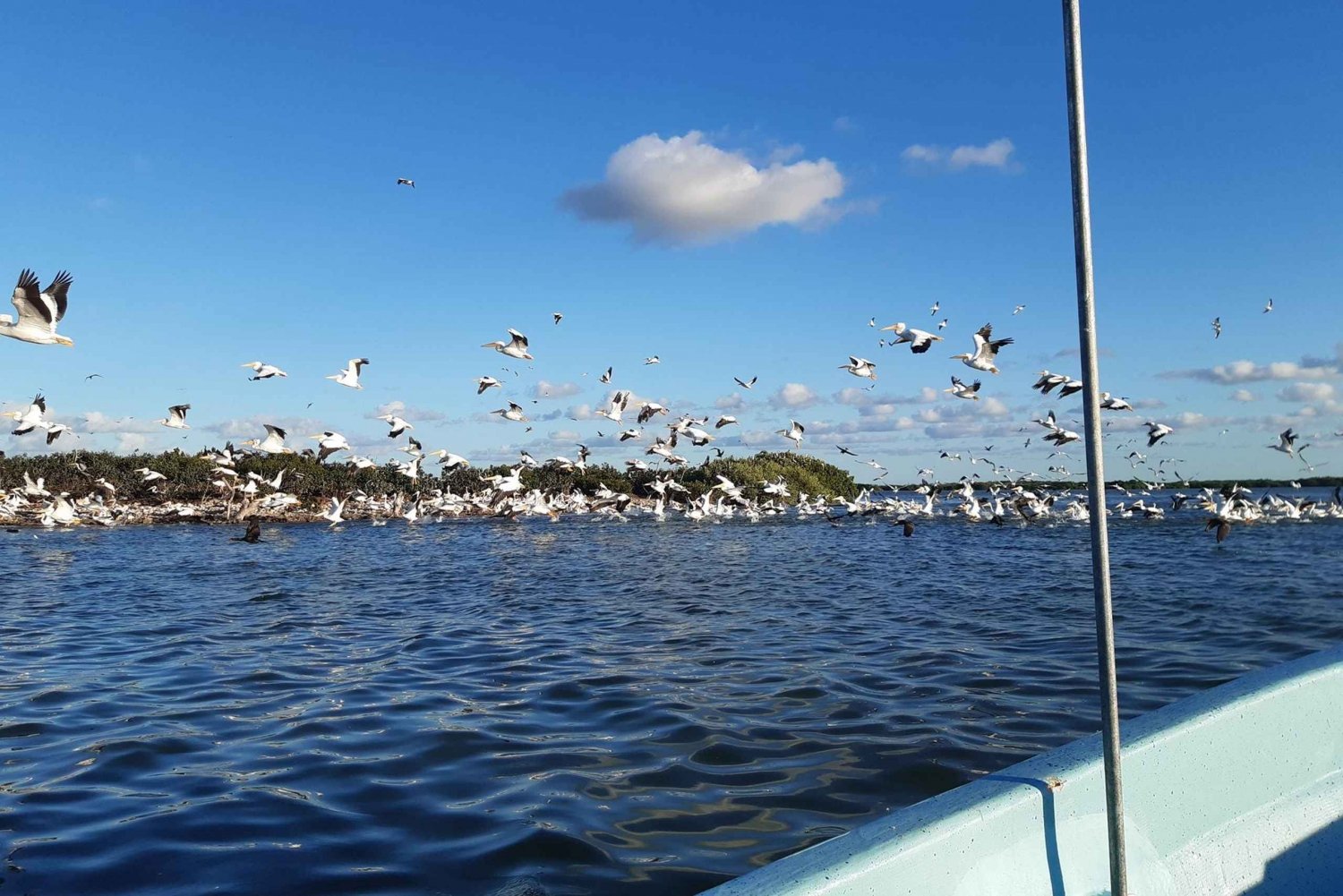 Rio Lagartos y San Felipe: Isla Cerritos, tour de aventura y cultura maya.