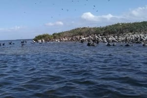 Rio Lagartos y San Felipe: Isla Cerritos, tour de aventura y cultura maya.