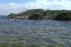 Rio Lagartos y San Felipe: Isla Cerritos, tour de aventura y cultura maya.