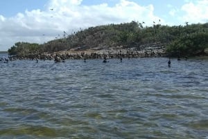 Rio Lagartos y San Felipe: Isla Cerritos, tour de aventura y cultura maya.