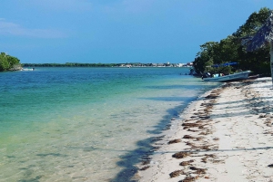 Rio Lagartos y San Felipe: Isla Cerritos, tour de aventura y cultura maya.