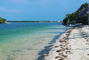 Rio Lagartos y San Felipe: Isla Cerritos, Cenote Kambulnah y Pesca.