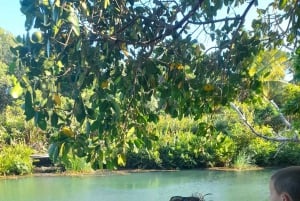 Rio Lagartos y San Felipe: Isla Cerritos, Cenote Kambulnah y Pesca.