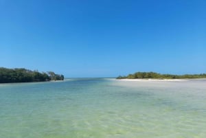 Rio Lagartos y San Felipe: Isla Cerritos, Cenote Kambulnah y Pesca.