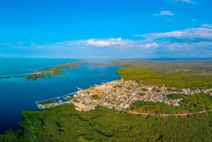 Rio Lagartos y San Felipe: Isla Cerritos, Cenote Kambulnah y Pesca.