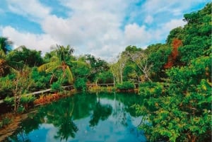 Rio Lagartos y San Felipe: Isla Cerritos, Cenote Kambulnah y Pesca.