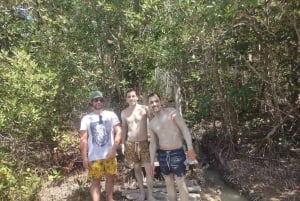 Rio Lagartos y San Felipe: Isla Cerritos, Cenote Kambulnah y Pesca.