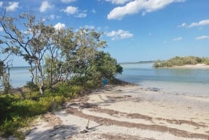 Rio Lagartos y San Felipe: Isla Cerritos, Cenote Kambulnah y Pesca.