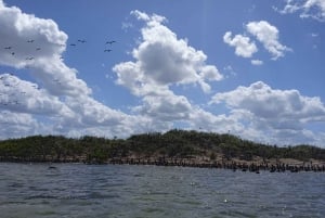 Rio Lagartos y San Felipe: Isla Cerritos, Cenote Kambulnah y Pesca.