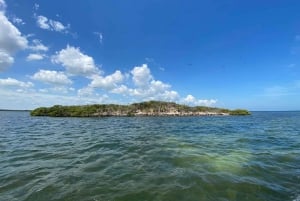 Rio Lagartos y San Felipe: Isla Cerritos, Cenote Kambulnah y Pesca.