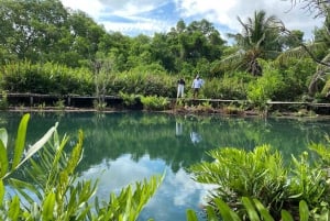 Rio Lagartos y San Felipe: Isla Cerritos, Cenote Kambulnah y Pesca.