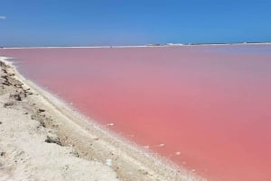 Río Lagartos: tour en barco con baño maya y comida