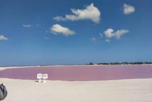 Río Lagartos: tour en barco con baño maya y comida