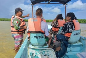 Río Lagartos: Flamingo Safari and Las Coloradas Tour