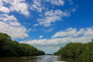 Rio Lagartos: River Boat Tour with Natural Mayan Bath