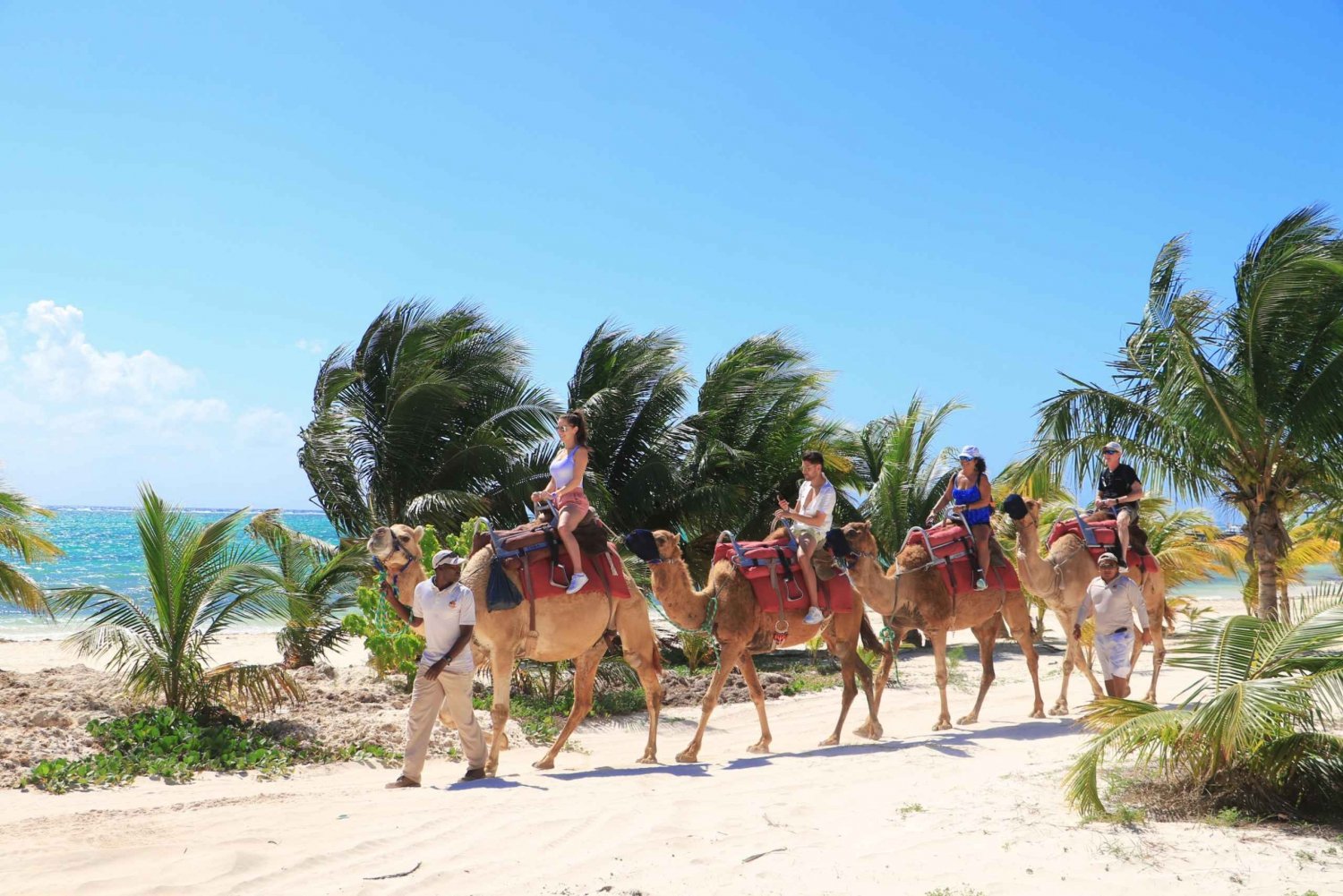 Riviera Maya: Camel Caravan Expedition and Beach Club Access in Mexico