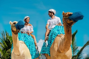 Riviera Maya: Camel Caravan Expedition and Beach Club Access