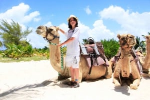 Riviera Maya: Expedición en Caravana de Camellos y Acceso al Club de Playa