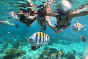 Riviera Maya:Catamarán a Isla Mujeres con almuerzo y barra libre