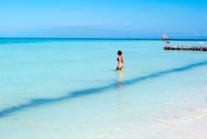 Riviera Maya:Catamarán a Isla Mujeres con almuerzo y barra libre