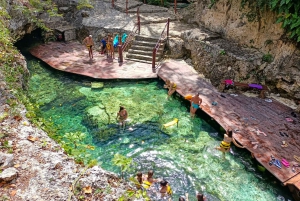 Riviera Maya: Coba, and Mariposa Cenote Trip with Lunch