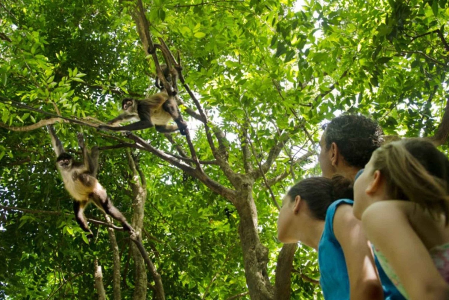Riviera Maya: tour interactivo del zoológico Croco Cun