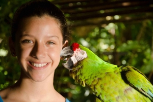 Riviera Maya: Croco Cun Interactive Zoo Tour