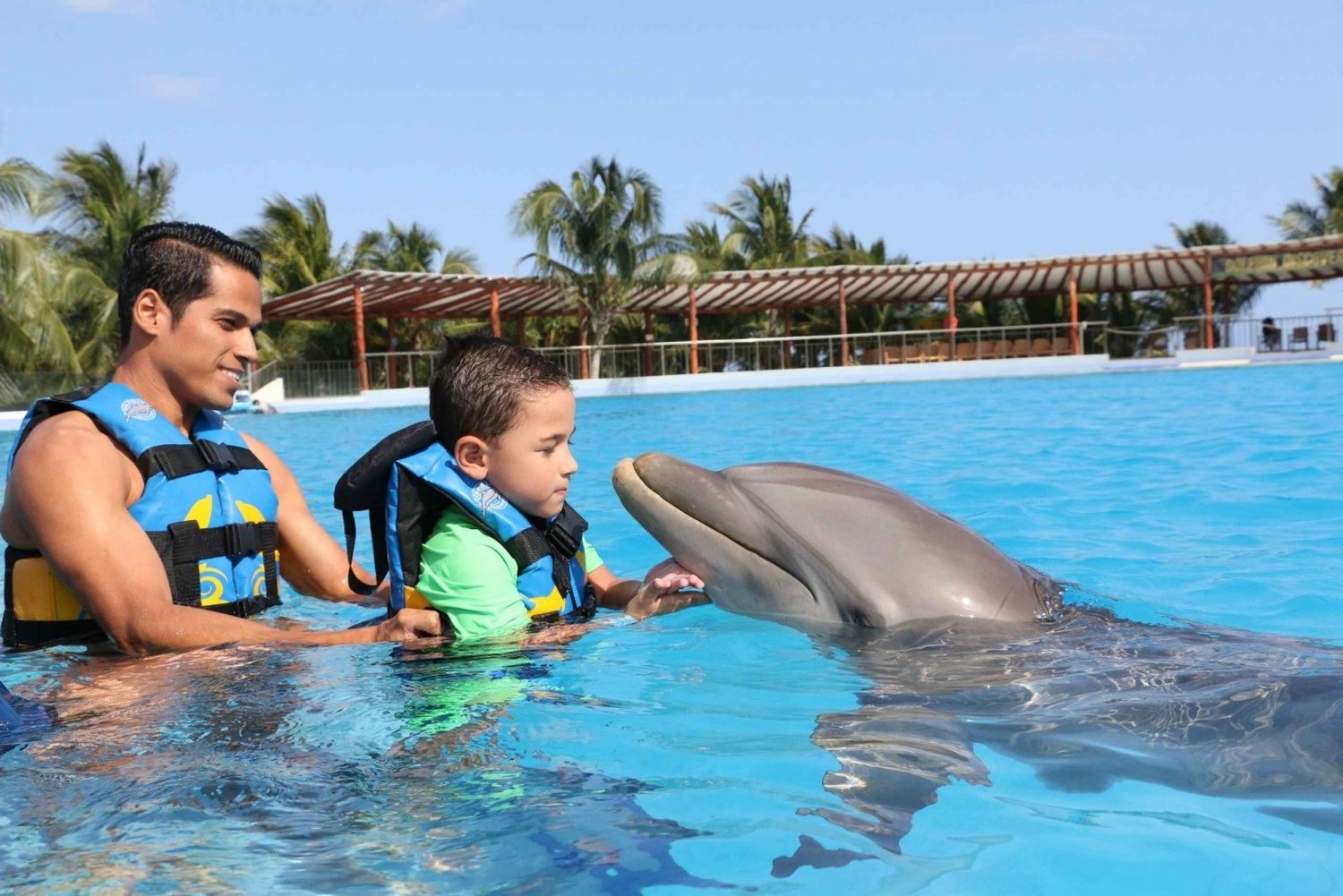 Riviera Maya: Dolphin Encounter with Beach Club Access