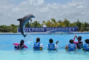 Riviera Maya: Dolphin Encounter, Beach Club Access & Meal