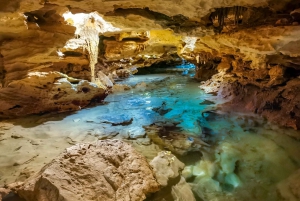 Riviera Maya: EcoPark Kantun-Chi Cave Adventure