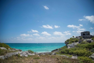 Riviera Maya Full Day Tour: Tulum Ruins, Snorkeling & Cenote