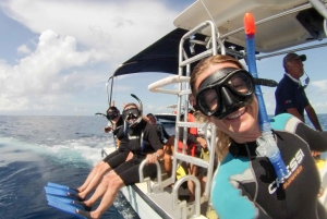 Riviera Maya: Encuentro de un día con el tiburón ballena