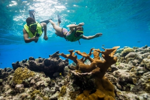 Riviera Maya: Excursión a Kaan Luum y Cenote con Esnórquel en Arrecife