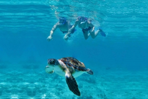 Riviera Maya: Luxury Catamaran Sailing Trip with Lunch