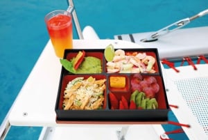 Riviera Maya: Luxury Catamaran Sailing Trip with Lunch