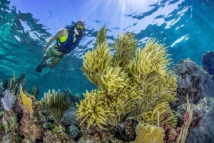 Riviera Maya: Native Park Entrance Ticket With Reef Snorkel