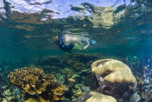 Riviera Maya: Native Park Entrance Ticket With Reef Snorkel