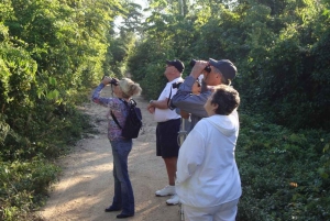 Riviera Maya: Puerto Morelos 4-Hour Bird Watching Tour