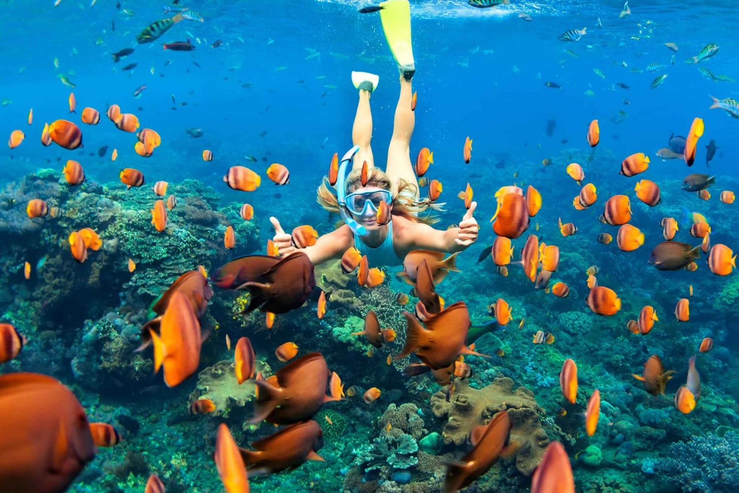 Riviera Maya: Reef Snorkeling, Kaan Luum Lagoon & Cenote