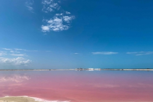 Riviera Maya: Rio Lagartos & Las Coloradas Day Trip w/Lunch