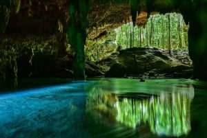 Riviera Maya: Excursión a la Reserva Natural de Río Secreto