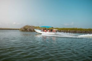 From Tulum: Sian Kaan Boat Trip Adventure with Lunch