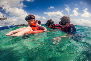 Riviera Maya: Turtles and Cenote Snorkeling Tour
