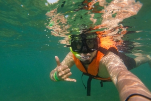 Riviera Maya: Turtles Snorkeling and Cenote Cave