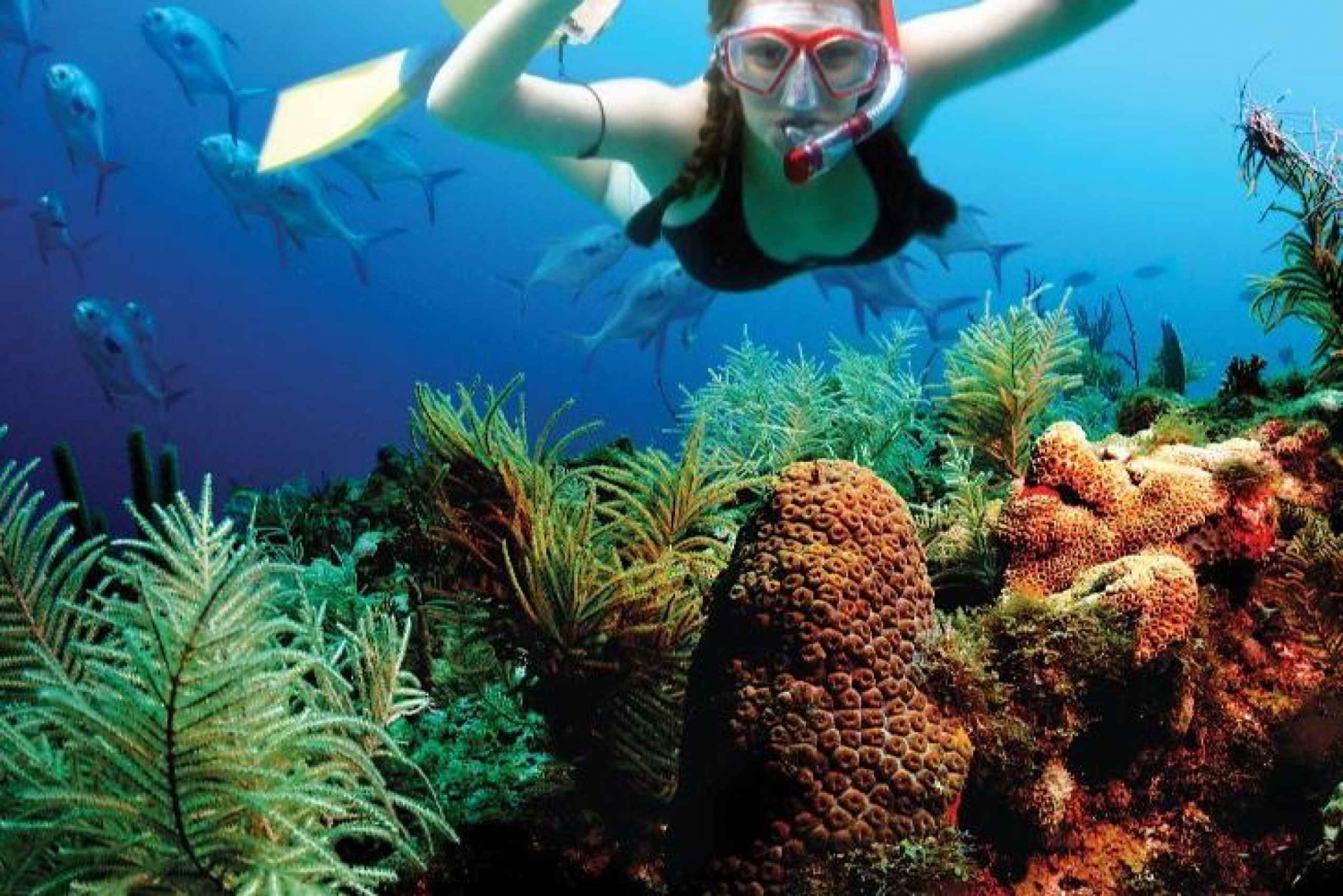 Riviera Maya: Two-Reef Snorkeling Experience
